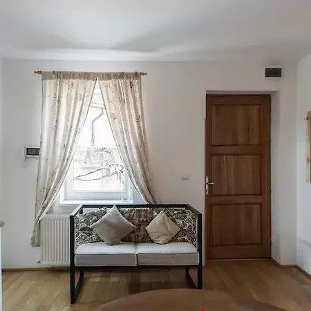 Apartment Tourists Atelier Brasov